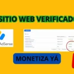 COMO VERIFICAR MI WEB