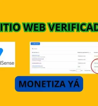 COMO VERIFICAR MI WEB