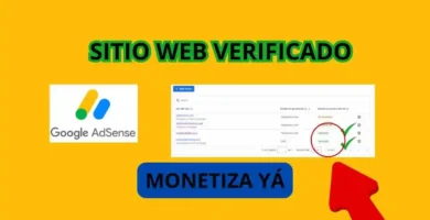 COMO VERIFICAR MI WEB