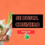 Empleo de cosina