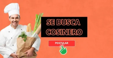 Empleo de cosina