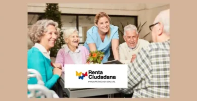 Renta ciudadana