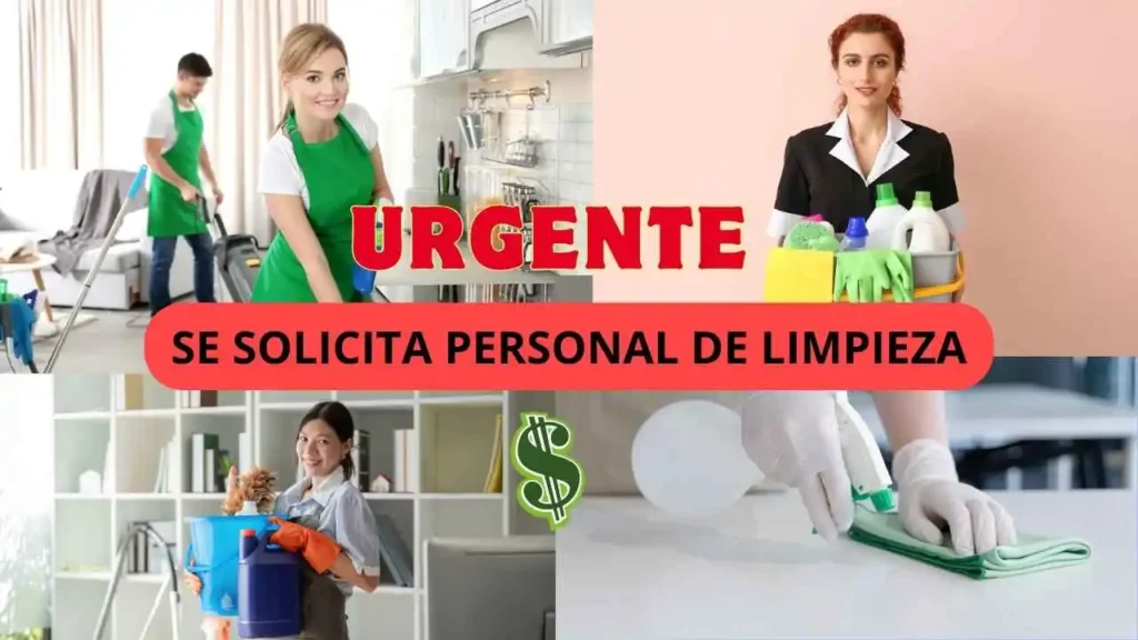 Trabajo de limpieza