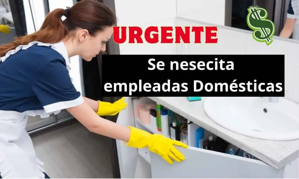 empleadas domesticas