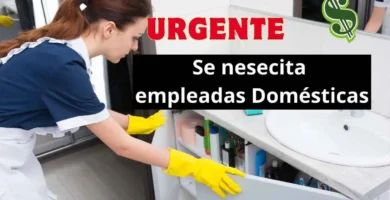 empleadas domesticas