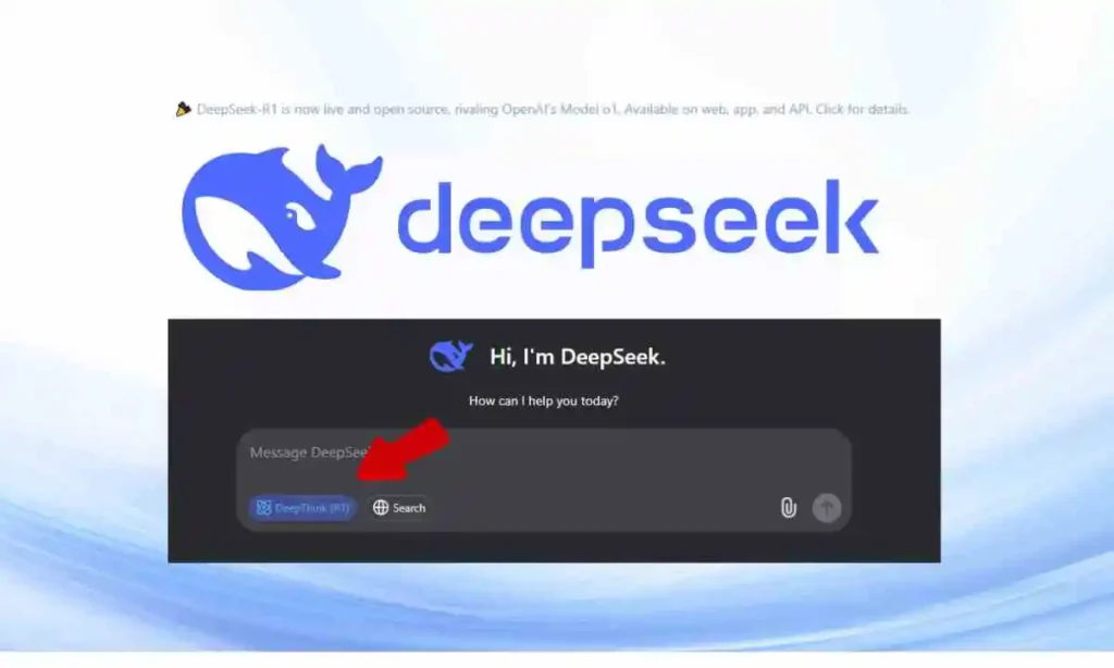 Pron¿mpt deepseek