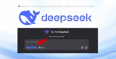 Pron¿mpt deepseek